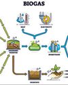 Optimising biogas production with process analyser tech