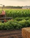 Importance of Comfort Properties in Protective Textiles for Farmers2