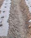 Nonwoven Natural Fibre-Based Mulching: A Boon to Sustainable Agro-textile9