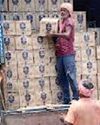 Mohali police intercepts truck with 550 cases of liquor with two Rajasthan based individuals YUGMARG NEWSPAPER