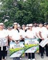 NIA Panchkula organizes successful walkathon as part of International Yoga Day celebrations YUGMARG NEWSPAPER