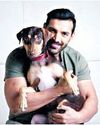 John Abraham writes to CJI, calls for review of SC's directive on stray dogs YUGMARG NEWSPAPER