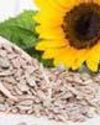 HAFED clarifies sunflower seed MSP error4