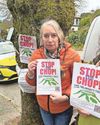 Tree campaigners prepare for more confrontation as council goes silent Tree campaigners prepare for more confrontation as council goes silent0