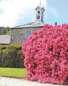West Briton (Truro and Mid Cornwall)