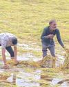 પંચમહાલના શહેરામાં માવઠાથી ડાંગર સહિતના પાકને વ્યાપક નુકસાન0