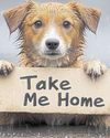 Advice: You've found a stray animal - here's what to do Advice: You've found a stray animal - here's what to do