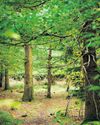 Going back to nature for your final farewell