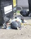 Increase in fly-tipping and dumped rubbish causing boom in rat sightings