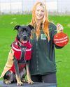 Niall is looking for a loving home this Christmas8