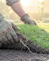 Turf out plastics that lurk in your garden16