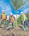 Planting under way on new park as it transforms a forgotten city corner10