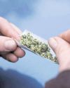 Drugs runner facing jail after police find cannabis in his car20