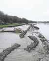 Plans to revive saltmarsh habitats on River Wear are given green light0