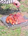 Think fire risk before choosing BBQ picnic21