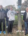 Buddy the 'Roundabout Dog' given memorial plaque at his chill-out tree12