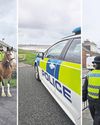 Vehicles seized as police crack down on antisocial behaviour Vehicles seized as police crack down on antisocial behaviour15