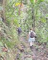 On the trail of St Lucia's 'small six' rare and endangered species On the trail of St Lucia's 'small six' rare and endangered species16
