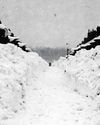 Think it's cold now? This is nothing compared to the Big Freeze of 19479