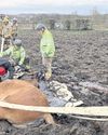 Sunderland Echo