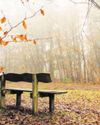 Keeping memories of loved ones alive30