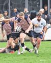 Red Rose lose battle but win War of the Roses Red Rose lose battle but win War of the Roses22