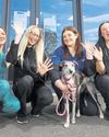 New purpose-built vet surgery welcomes its first patients New purpose-built vet surgery welcomes its first patients7