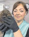 Hedgehog hospital in plea for help ahead of its busiest time of the year7