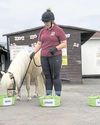 Sunderland Echo