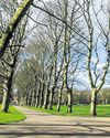 Three women assaulted in park by 'masked man'6