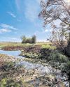 That's wild - farmland gets £11.8m makeover That's wild - farmland gets £11.8m makeover23