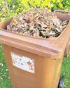 City bins garden waste collections - until the spring City bins garden waste collections - until the spring9
