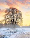 Chilly forecast for UK as temperatures plummet Chilly forecast for UK as temperatures plummet26