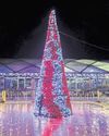 Advice to keep your tree in tip-top shape Advice to keep your tree in tip-top shape22