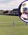 Dog that attacked woman in park given stay of execution Dog that attacked woman in park given stay of execution8