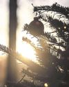 For those living with grief at this family time – you are not alone12