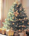Have yourself a merry – and green – Christmas18