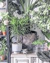 Friendly advice and a love of plants24