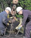 Heritage rail plays key role in canal lock20