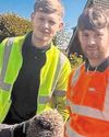 Hedgehog Bailey rescued after workers solve prickly problem10