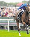 Why Ombudsman could get in to trouble over weight at Sandown Why Ombudsman could get in to trouble over weight at Sandown36