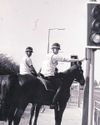 The story of the city's first ever horse crossing The story of the city's first ever horse crossing20