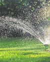You can have a lawn to love without the relentless use of a sprinkler You can have a lawn to love without the relentless use of a sprinkler16