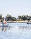 Petition calls for lake barbecue ban to protect ‘sanctuary for wildlife’14