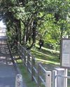 Go by bus to Hilsea Lines this summer8