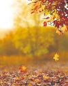 Finding a balance as Autumn arrives with sunshine and rituals11