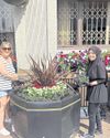 Avove supports Chorley in Bloom in preparation for Britain in Bloom competition17