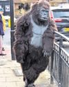 Lancashire Evening Post