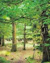 Lancashire Evening Post