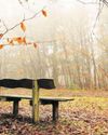 Lancashire Evening Post